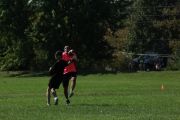 OTFL Gallery Image